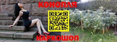 дмт Норильск