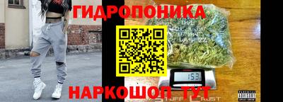 дмт Норильск
