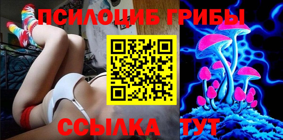 Псилоцибиновые грибы Cubensis  Галлюциногенные грибы мухоморы  Киселёвск  Вход с VPN 